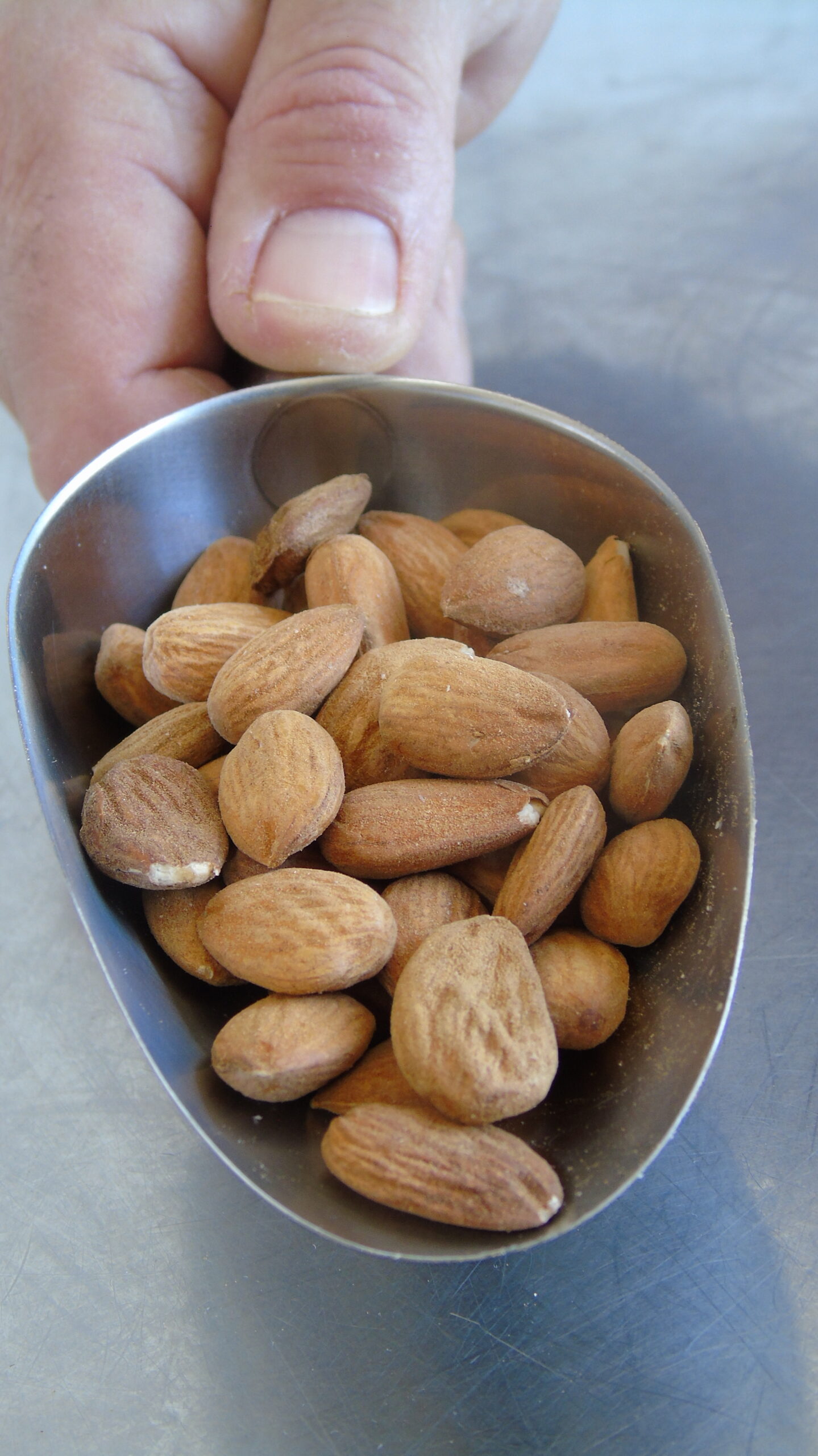 Líderes en piñón y almendra.