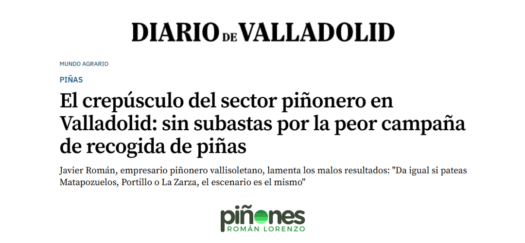 Crisis del sector piñonero en el Día de Valladolid